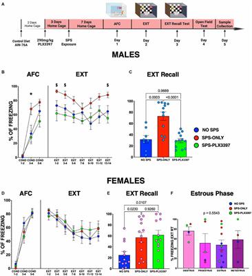 Sex-dependent effects of microglial reduction on impaired fear extinction induced by single prolonged stress